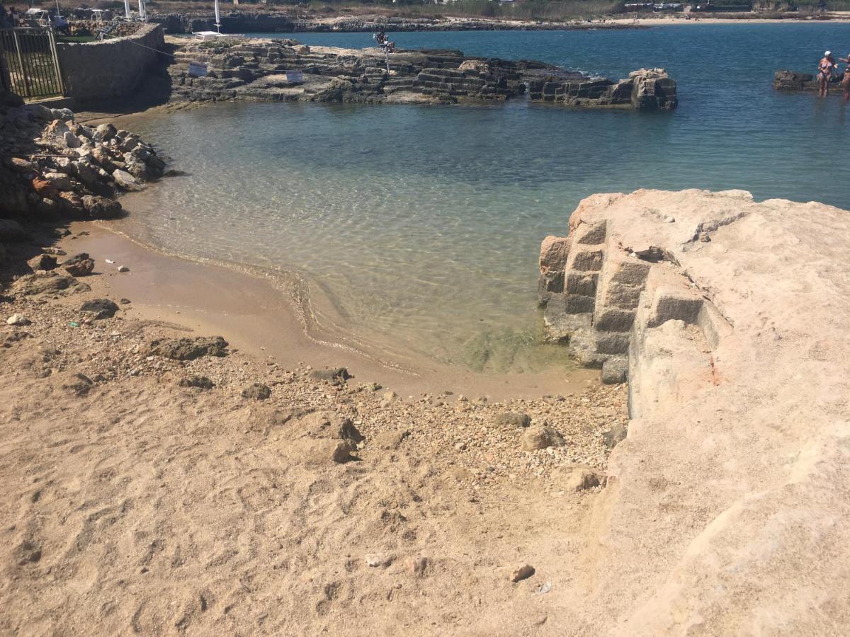 Almarea Blu - Appartamento In Villa Vicino Al Mare - Affitto Breve Polignano a Mare Eksteriør billede